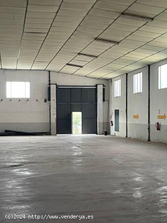 Oportunidad de Alquiler: Nave de 1.335 m² con Oficina en Murcia - MURCIA