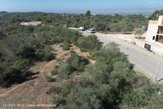  Dos parcelas urbanas en Son Gual - BALEARES 