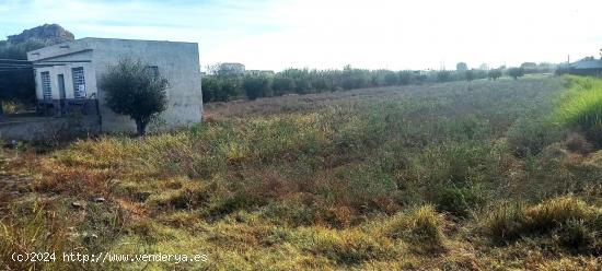 Terreno en Cobatillas con pequeña construcción - MURCIA