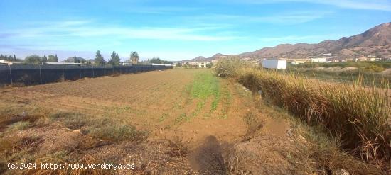 Terreno en Cobatillas con pequeña construcción - MURCIA