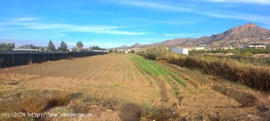 Terreno en Cobatillas con pequeña construcción - MURCIA