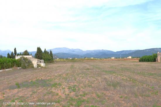 Finca rústica con caseta de herramientas y vistas a la Serra de Tramuntana  en Muro - BALEARES