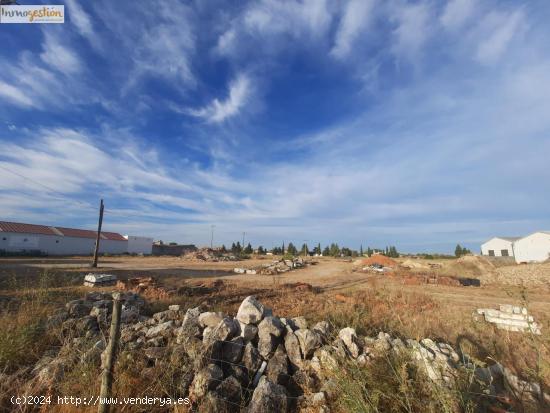 TERRENO EN VENTA EN TUDELA DE DUERO - VALLADOLID