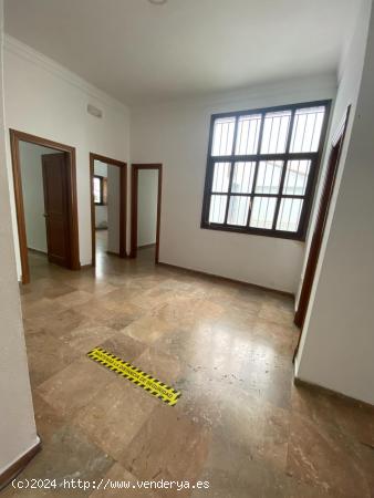 VIVIENDA AMPLIA EN EL CENTRO!!! - CADIZ