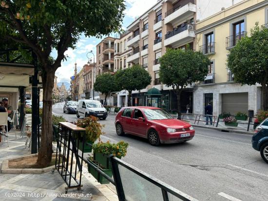 LOCAL COMERCIAL EN ALAMEDA DE ANDALUCIA ESTA DISPONIBLE¡¡¡¡ - MALAGA