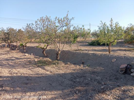 Terreno rural junto a Puerto Lumbreras - MURCIA