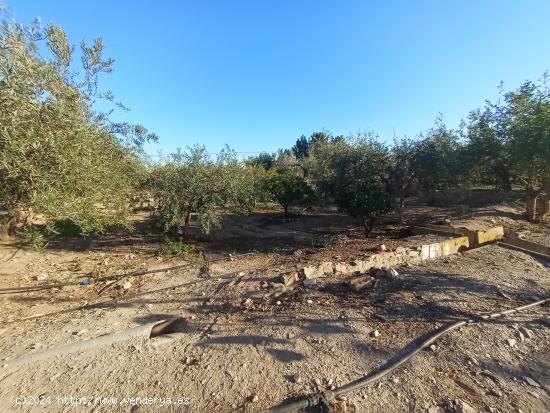 Terreno rural junto a Puerto Lumbreras - MURCIA