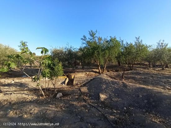 Terreno rural junto a Puerto Lumbreras - MURCIA