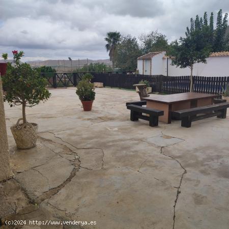 CHALET CON PARDELA 1800 METROS - MURCIA