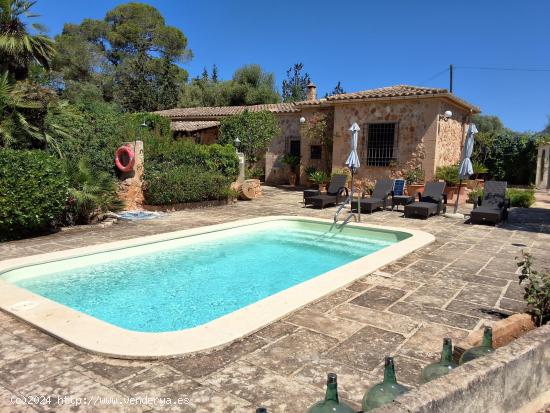  FINCA RUSTICA EN VENTA EN LLUCMAJOR - BALEARES 