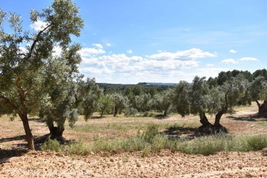 Casa en venta en Torre del Compte (Teruel)