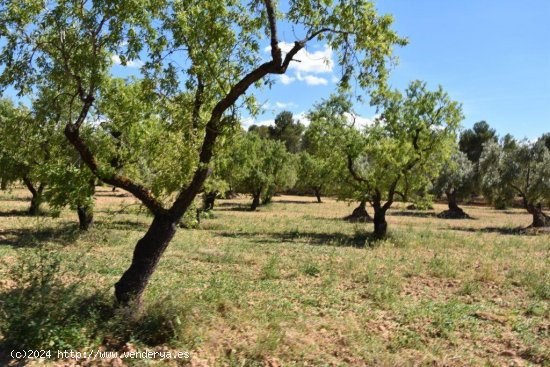 Casa en venta en Torre del Compte (Teruel)