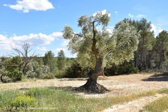 Casa en venta en Torre del Compte (Teruel)