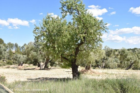 Casa en venta en Torre del Compte (Teruel)