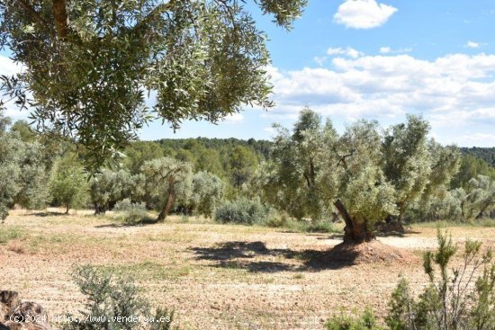 Casa en venta en Torre del Compte (Teruel)