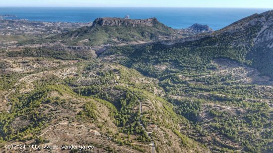 Parcela en venta en Jalón (Alicante)