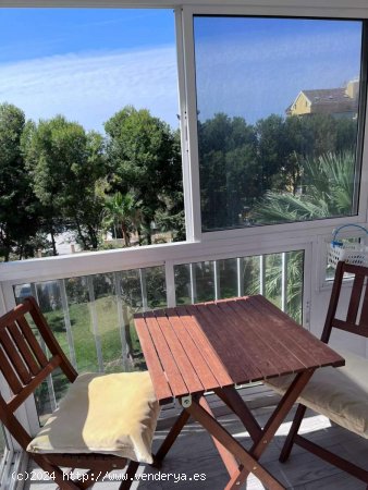  Apartamento en alquiler en Benalmádena (Málaga) 