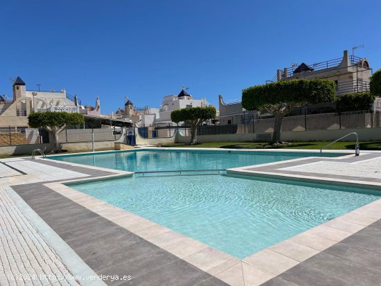  Casa en alquiler en Torrevieja (Alicante) 