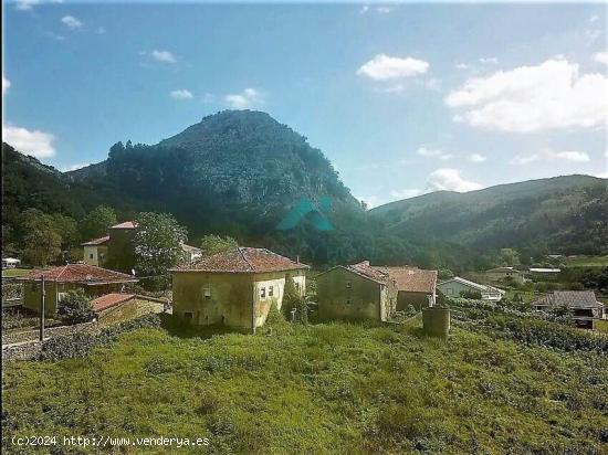 Se vende casa de pueblo con terreno - CANTABRIA