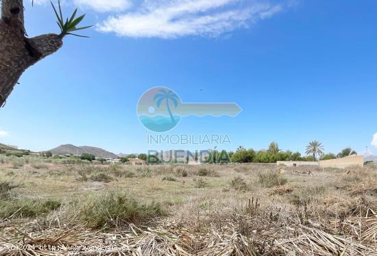 TERRENO RUSTICO MUY CERCA DE MAZARRON Y DE SUS PLAYAS - MURCIA