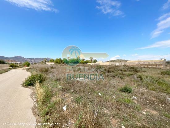 TERRENO RUSTICO MUY CERCA DE MAZARRON Y DE SUS PLAYAS - MURCIA