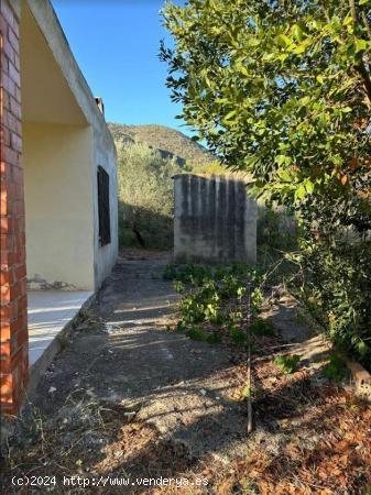 SE VENDE TERRENO RUSTICO CON CASETA CON AGUA Y LUZ EN ALFONDEGUILLA - CASTELLON