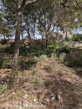 Oportunidad Única: Terreno en Santa Ponsa, Mallorca - BALEARES