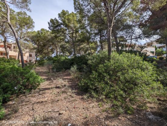 Oportunidad Única: Terreno en Santa Ponsa, Mallorca - BALEARES