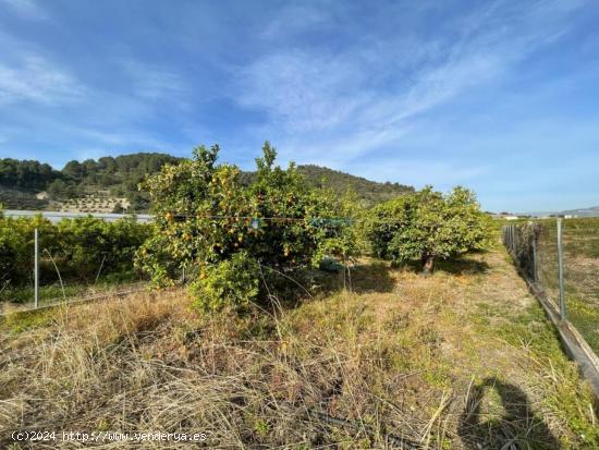 Terreno en venta en L' Alqueria de la Comtessa - VALENCIA