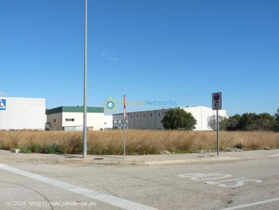  Parcela industrial en venta en Xeresa - VALENCIA 