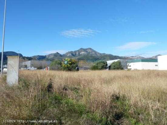 Parcela industrial en venta en Xeresa - VALENCIA