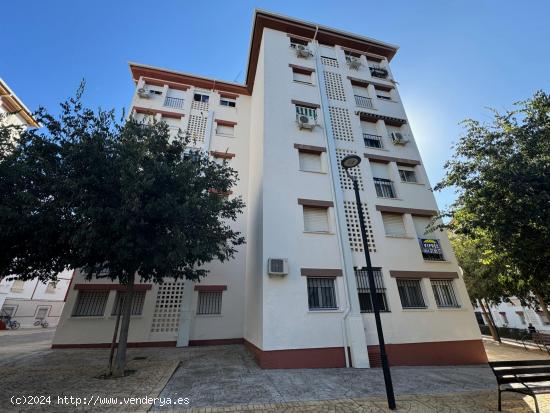  CASABANCO VENDE PISO DE TRES DORMITORIOS EN ALMENDRALEJO. - BADAJOZ 