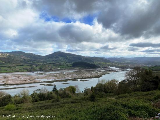  EXCLUSIVA PROPIEDAD CON VISTAS A LA RIA Y 70 HECTAREAS DE TERRENO - ASTURIAS 