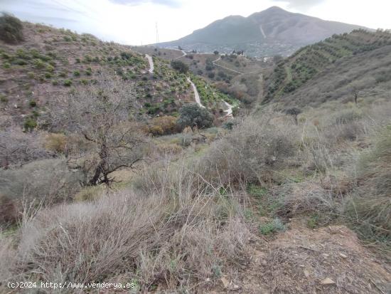 Finca rústica en Alhaurin el Grande - MALAGA