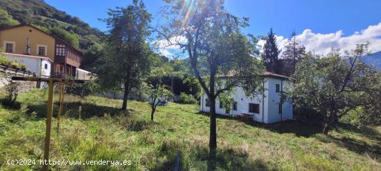 CASA-CHALÉ CON TERRENO EN EL CORAZÓN DE MOREDA (ALLER) ASTURIAS - ASTURIAS