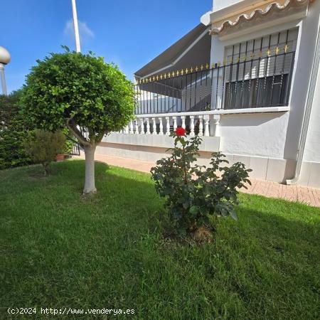  BUNGALOW PLANTA BAJA, 3 DORMITORIOS, A 500 METROS DE LA PLAYA DE LA MATA EN TORREVIEJA - ALICANTE 