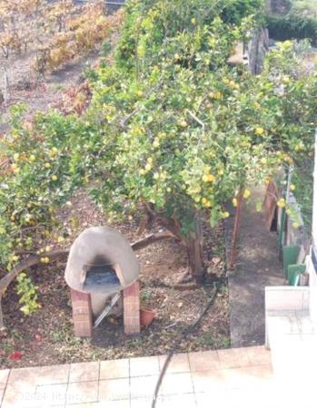 ¡Fantástica finca en LA OROTAVA! - SANTA CRUZ DE TENERIFE