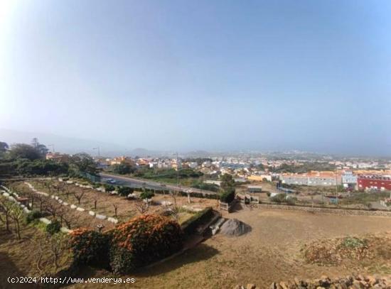 ¡Fantástica finca en LA OROTAVA! - SANTA CRUZ DE TENERIFE