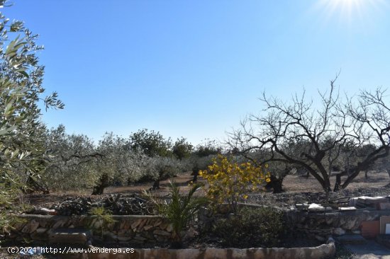 Casa rural en venta  en Ampolla, L - Tarragona