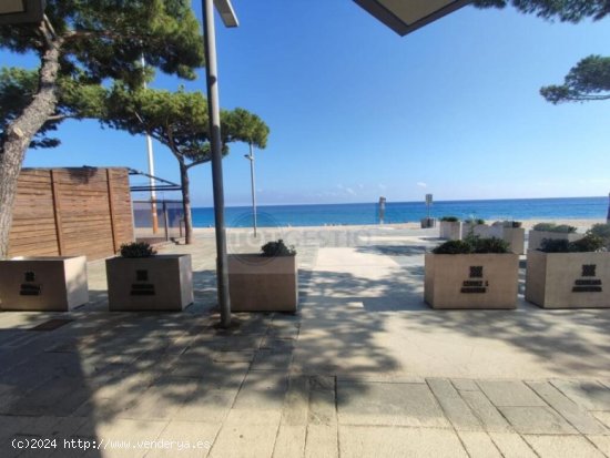  Local comercial en Alquiler en Castell Platja D Aro Girona 