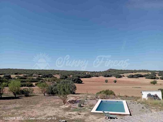 Casa de campo-Masía en Venta en Almansa Albacete