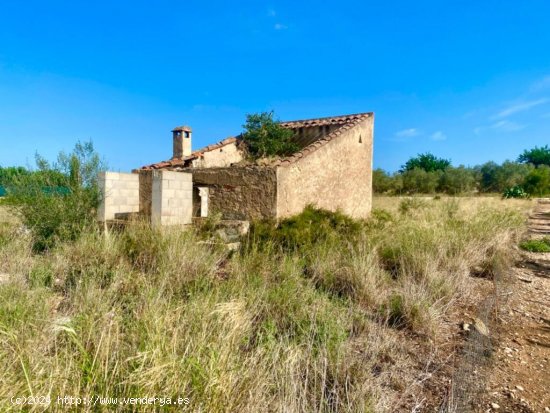 Encantadora casa de piedra bien comunicada