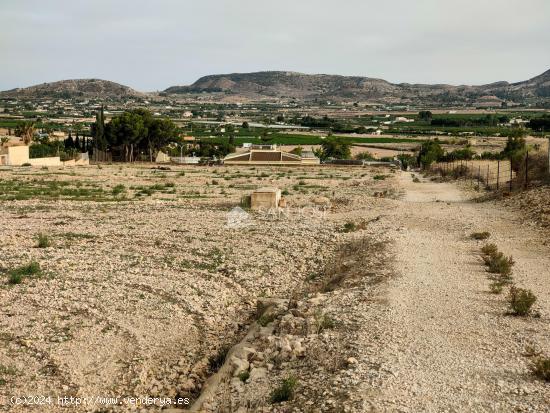 VENTA DE PARCELA RUSTICA CON ALMACEN EN ASPE - ALICANTE