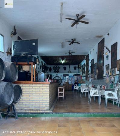 VIVIENDAS CON LOCAL-BAR EN FUNCIONAMIENTO - CADIZ