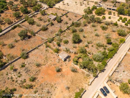 Suelo Rústico con caseta antigua para reformar en Santa Margalida - BALEARES