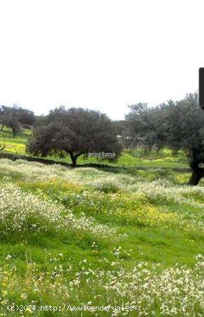 Ha encontrado su trozo de paraíso natural. - CACERES