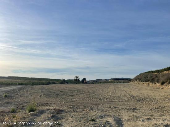 Terreno Agrario de 17.879 metros en Cañadas de San Pedro con casa de 36 metros - MURCIA