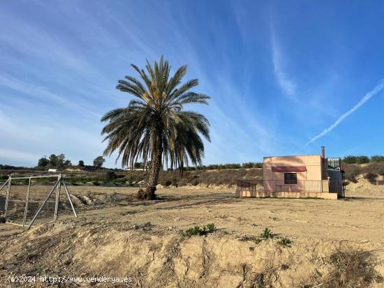 Terreno Agrario de 17.879 metros en Cañadas de San Pedro con casa de 36 metros - MURCIA