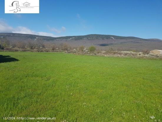 SOLAR URBANIZABLE A 15 MINUTOS DE SORIA - SORIA