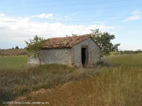 VENTA DE FINCA EN ROMADERA - ZARAGOZA